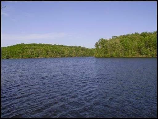 Firetower Lane Pic