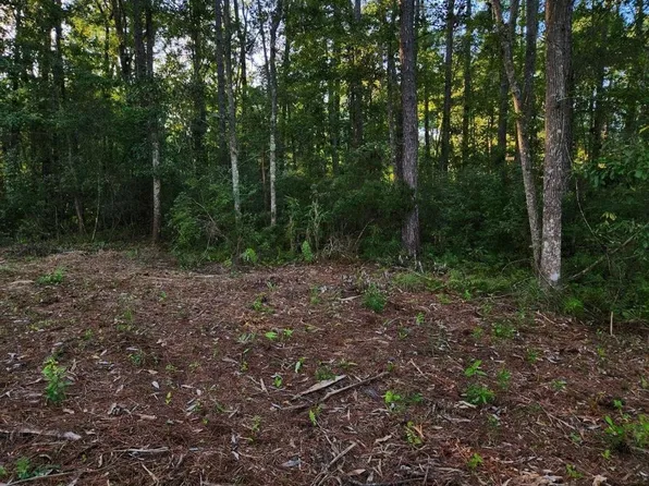 208 N Wood Duck Dr, Monticello, FL 32344