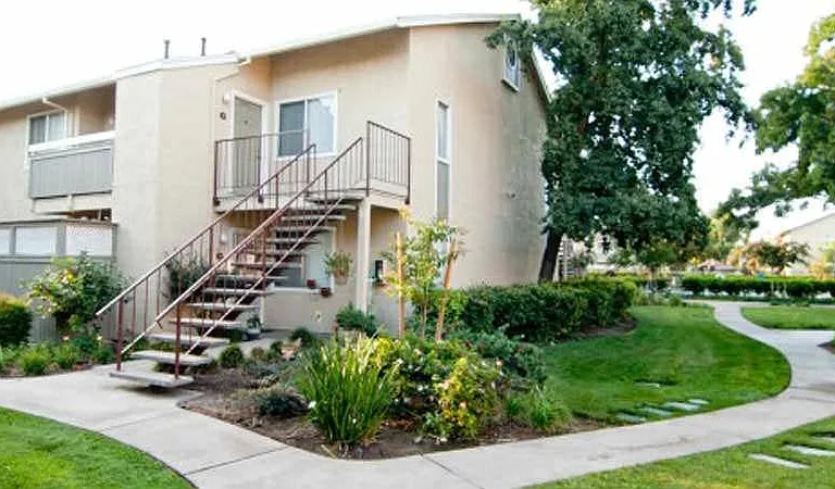 Live Oak Apartments — Photo 13