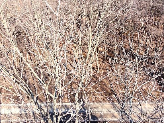 2nd image of 25 Shady Hollow Dr