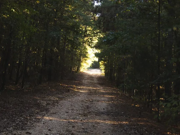 1 Hempstead 272, Mc Caskill, AR 71847