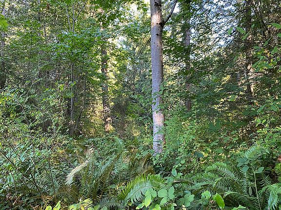 3rd image of 242071 Highway 101