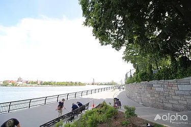 Rented by Alpha Properties NYC I LLC