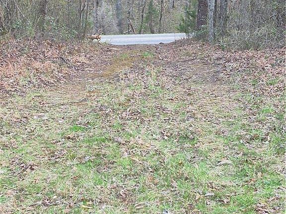 4th image of 1456 McDaniel Rd Lot 3