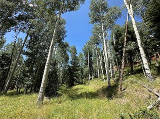 Lots 7-12 Calkins Street, Jasper, CO 81132