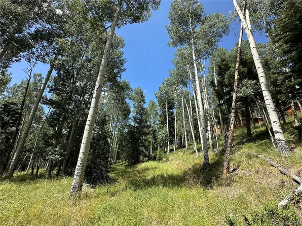 Lots 7-12 Calkins Street, Jasper, CO 81132