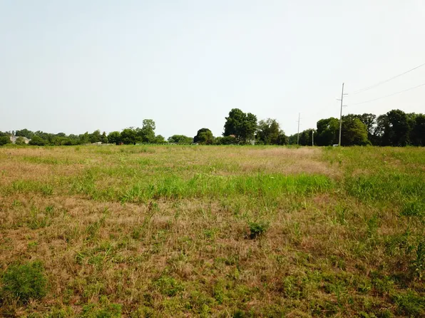 0 Brindle Rd, Ostrander, OH 43061