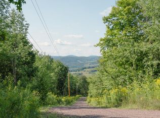 11 Cowan Rd, Hobart, NY 13788