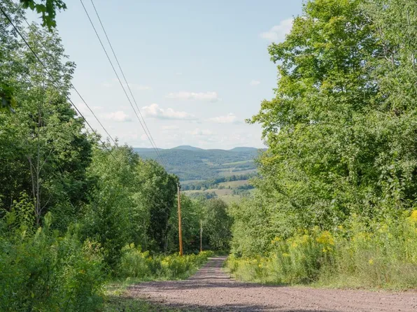 11 Cowan Rd, Hobart, NY 13788