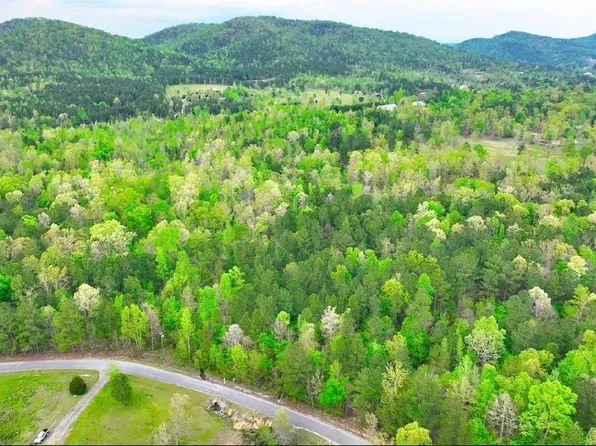 Odonnell Rd #34, Ashville, AL 35953