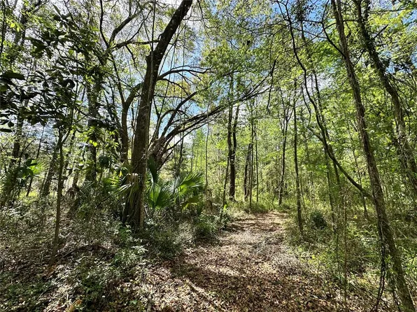 SW 5th Ln Lot 17, Ocala, FL 34481