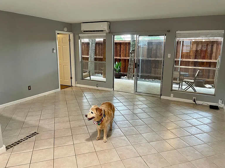 Open living and dining room. Murphy approved!
