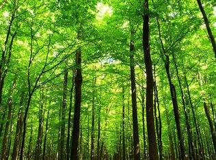 2609 Mangowood Dr #2601-K, South Chesterfield, VA 23834