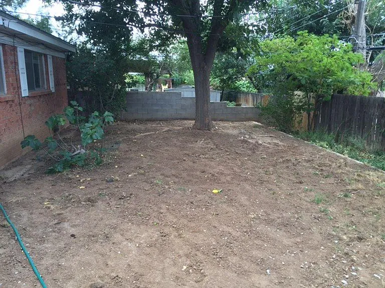 Back yard space