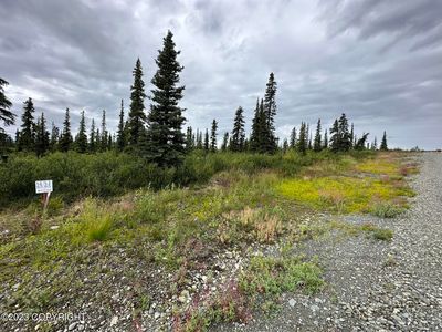 49046 S Timberwolf Rd, Sutton, AK, 99674