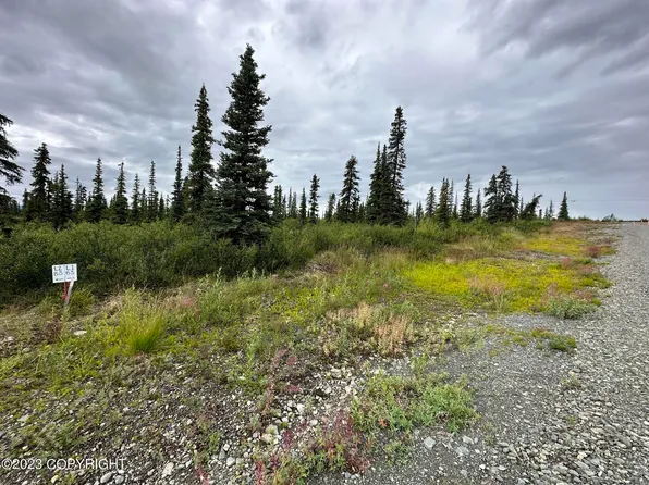 49046 S Timberwolf Rd, Sutton, AK 99674