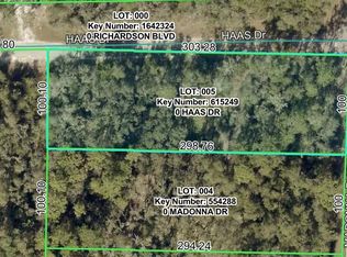 0 Haas Dr Lot 5, Webster, FL 33597