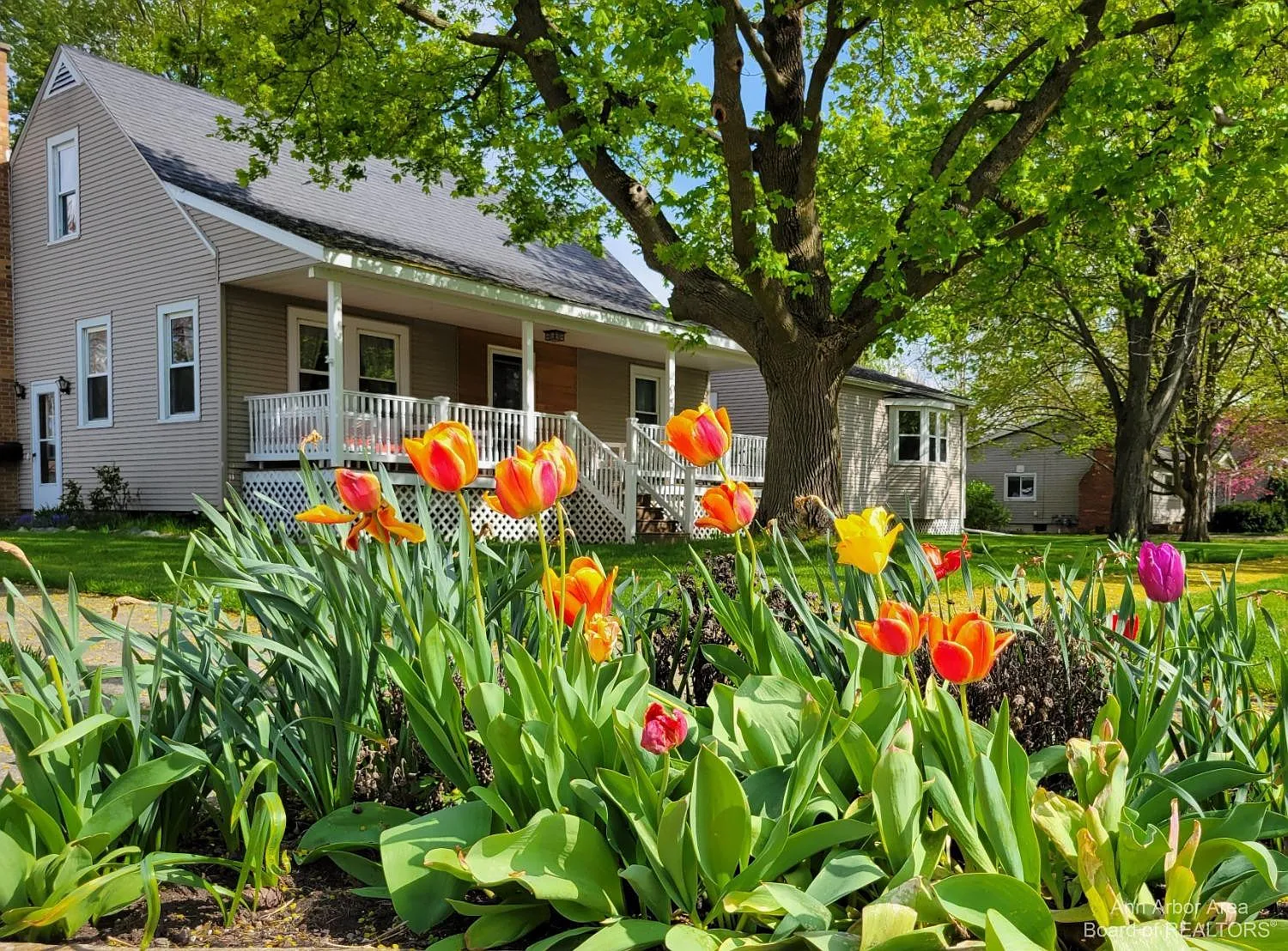 205 Mechanic St photo 1