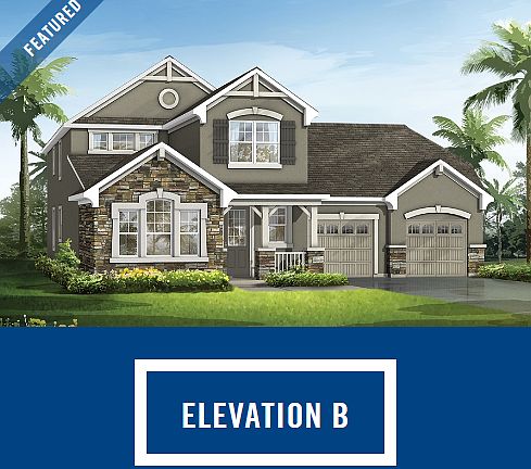 Elevation