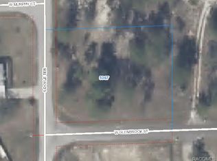 5481 W Glenbrook St, Homosassa, FL 34446