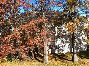 5th image of 4812 Shale Oaks Ave