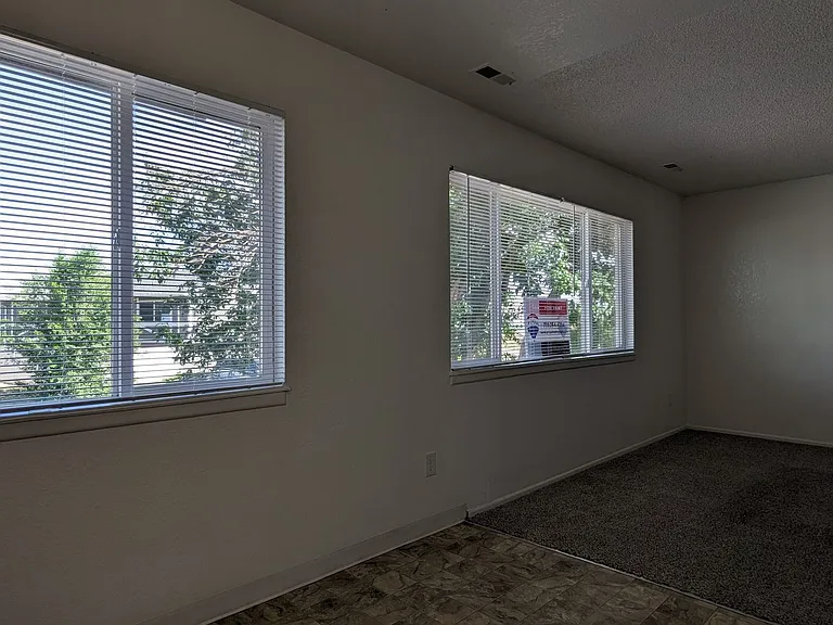 3450 Cochran Dr — Photo 11