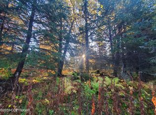 33640 & 06 Branscoms Rd, Anchor Pt, AK 99556