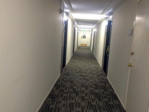 3rd. Floor Hallway to the unit