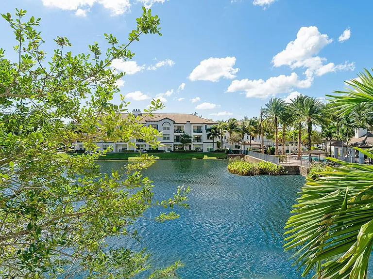 Pond views