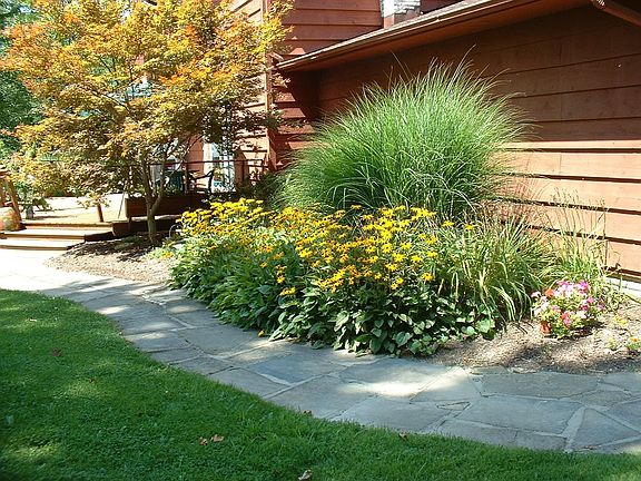 Rear Landscaping