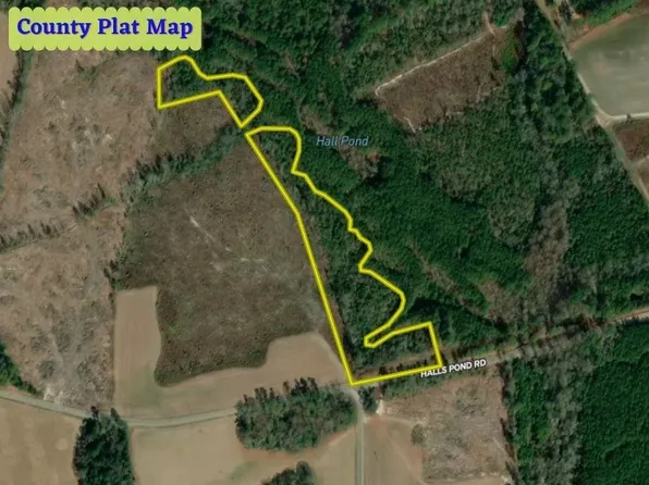1120 Halls Pond Rd, Rose Hill, NC 28458