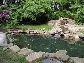 Koi Pond