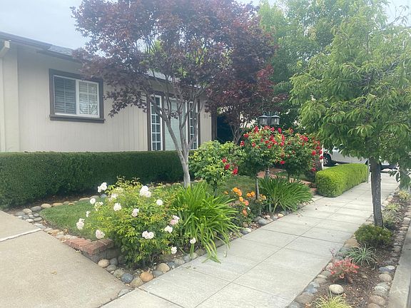 Sidewalk, Driveway, Kitchen Window, & Dining Room Window Overlooking Mature Trees