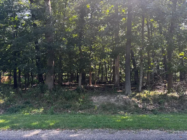 1134 Loganberry Ln, Varna, IL 61375