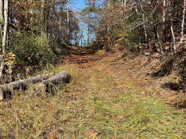 Big Ridge Rd, Haysi, VA 24256