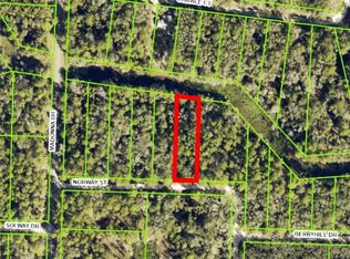 7200 Norway St, Webster, FL 33597