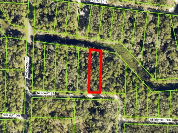 7200 Norway St, Webster, FL 33597