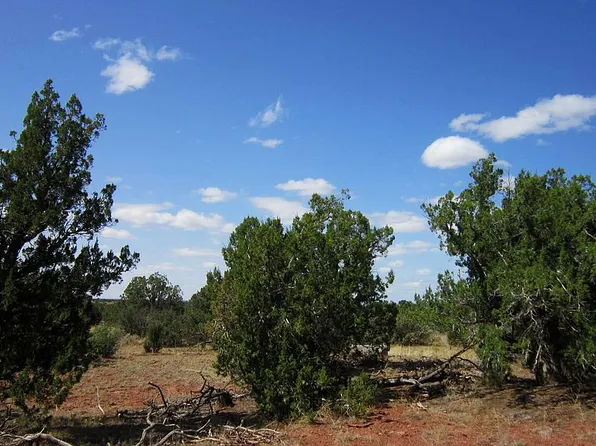 544 S Spruce Rd, Williams, AZ 86046