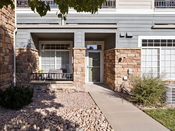 488 Black Feather Loop #202, Castle Rock, CO 80104