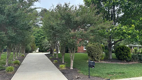 9604 Royal Colony Dr Photo 1