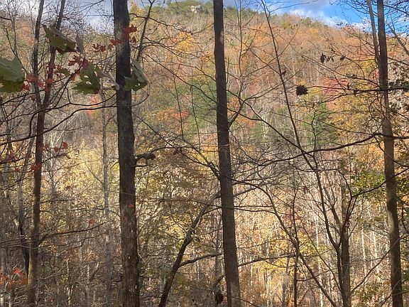 4th image of Old Spencer Rd