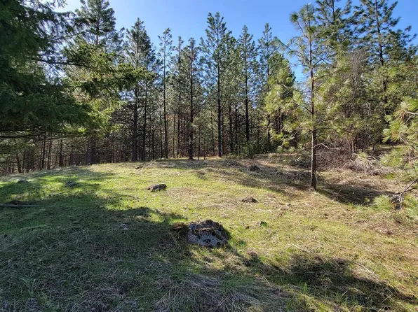 6205B Bear Tracks Way, Fruitland, WA 99129