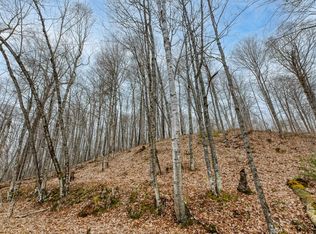 Johnson Ln Lot 8, Presque Isle, WI 54557