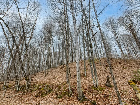 Johnson Ln Lot 8, Presque Isle, WI 54557