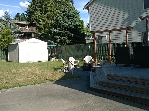 back yard and end of driveway