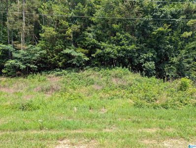 6451 Deerfoot Pkwy #0, Trussville, AL, 35173
