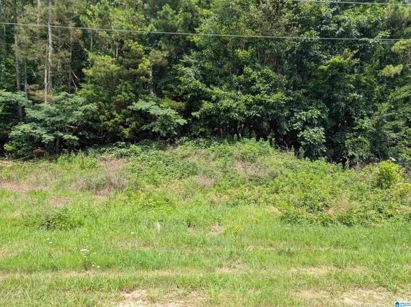 6451 Deerfoot Pkwy #0, Trussville, AL 35173