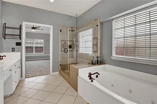 Master bath - Shower and Tub