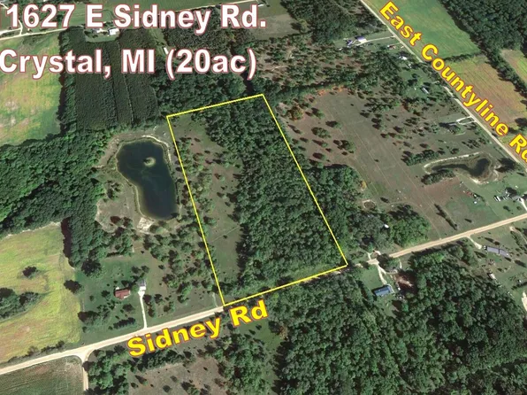 11627 E Sidney Rd, Crystal, MI 48818