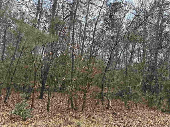(undisclosed Address), Sheridan, AR 72150